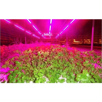 Светильники для растений светодиодные (LED)