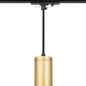 72tsk.ru - Светильник трековый однофазный TR45 GU10 S MG  подвесной под лампу MR16 золото 52х100 ЭРА