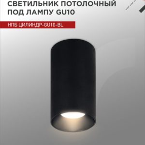 72tsk.ru - Светильник потолочный НПБ ЦИЛИНДР-GU10-BL под лампу GU10 55х100мм черный IN HOME